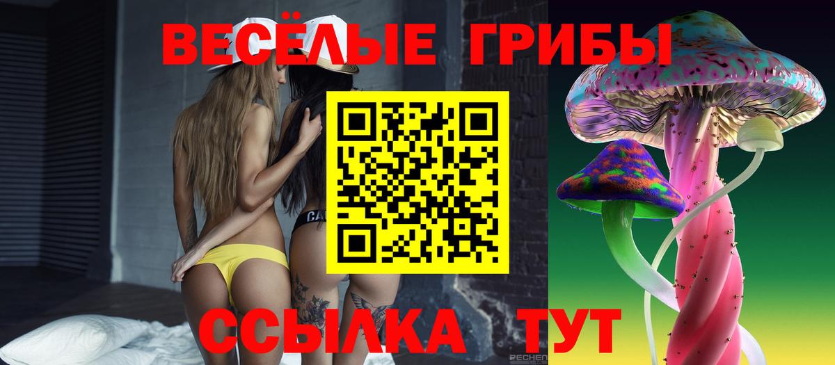 Галлюциногенные грибы мицелий  Галлюциногенные грибы прущие грибы  Лосино-Петровский  Вход с VPN 